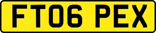 FT06PEX