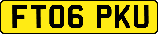 FT06PKU