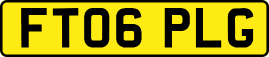 FT06PLG