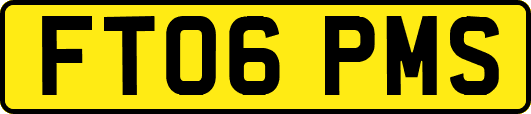 FT06PMS