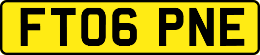 FT06PNE