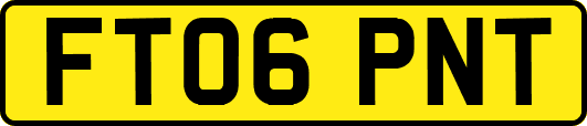 FT06PNT