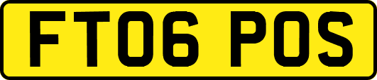 FT06POS