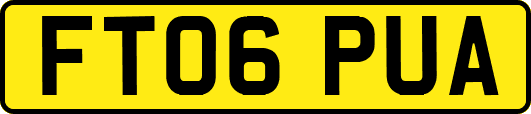 FT06PUA