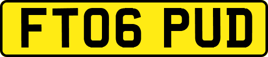 FT06PUD