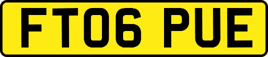 FT06PUE