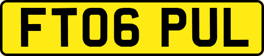 FT06PUL