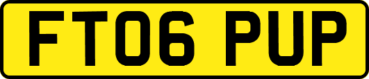 FT06PUP
