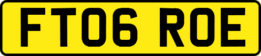 FT06ROE