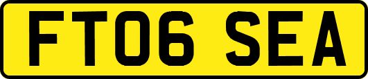 FT06SEA