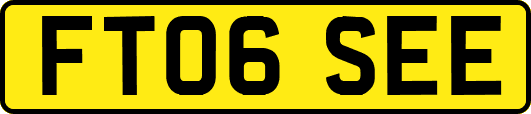 FT06SEE