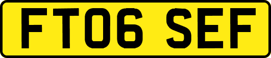 FT06SEF