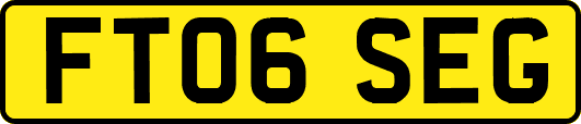FT06SEG