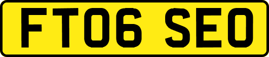 FT06SEO
