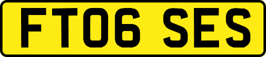 FT06SES