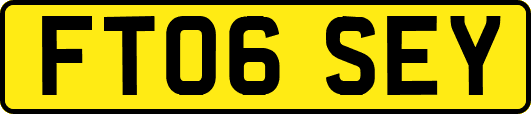 FT06SEY
