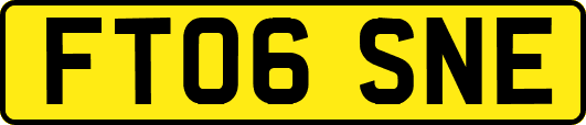 FT06SNE
