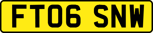 FT06SNW