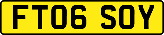 FT06SOY
