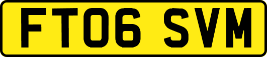FT06SVM