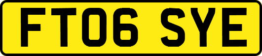 FT06SYE