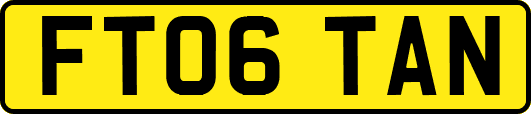 FT06TAN