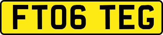 FT06TEG