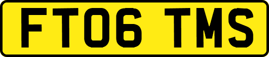 FT06TMS