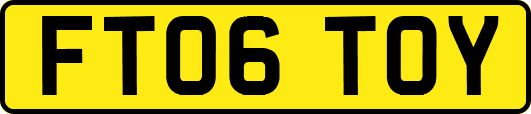 FT06TOY