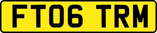FT06TRM