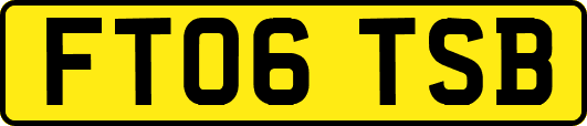 FT06TSB