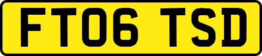 FT06TSD