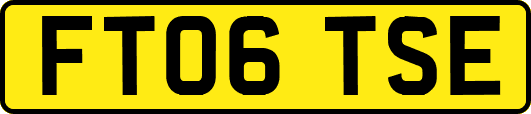 FT06TSE
