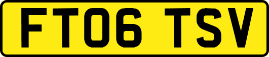 FT06TSV