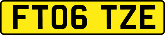 FT06TZE