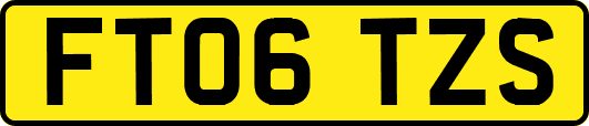 FT06TZS