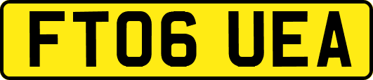 FT06UEA