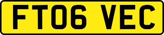 FT06VEC