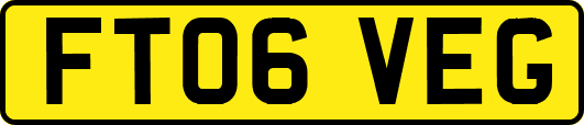 FT06VEG