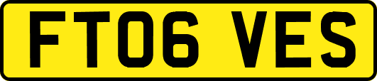 FT06VES