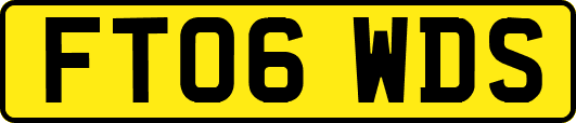 FT06WDS