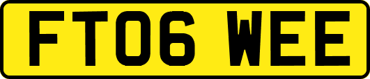FT06WEE