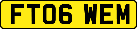FT06WEM