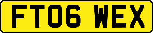 FT06WEX