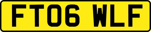 FT06WLF