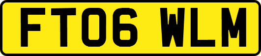 FT06WLM