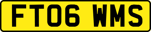 FT06WMS