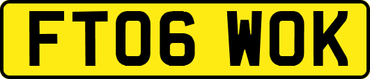 FT06WOK