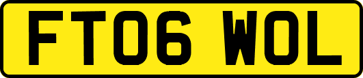FT06WOL