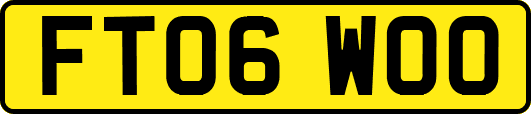 FT06WOO